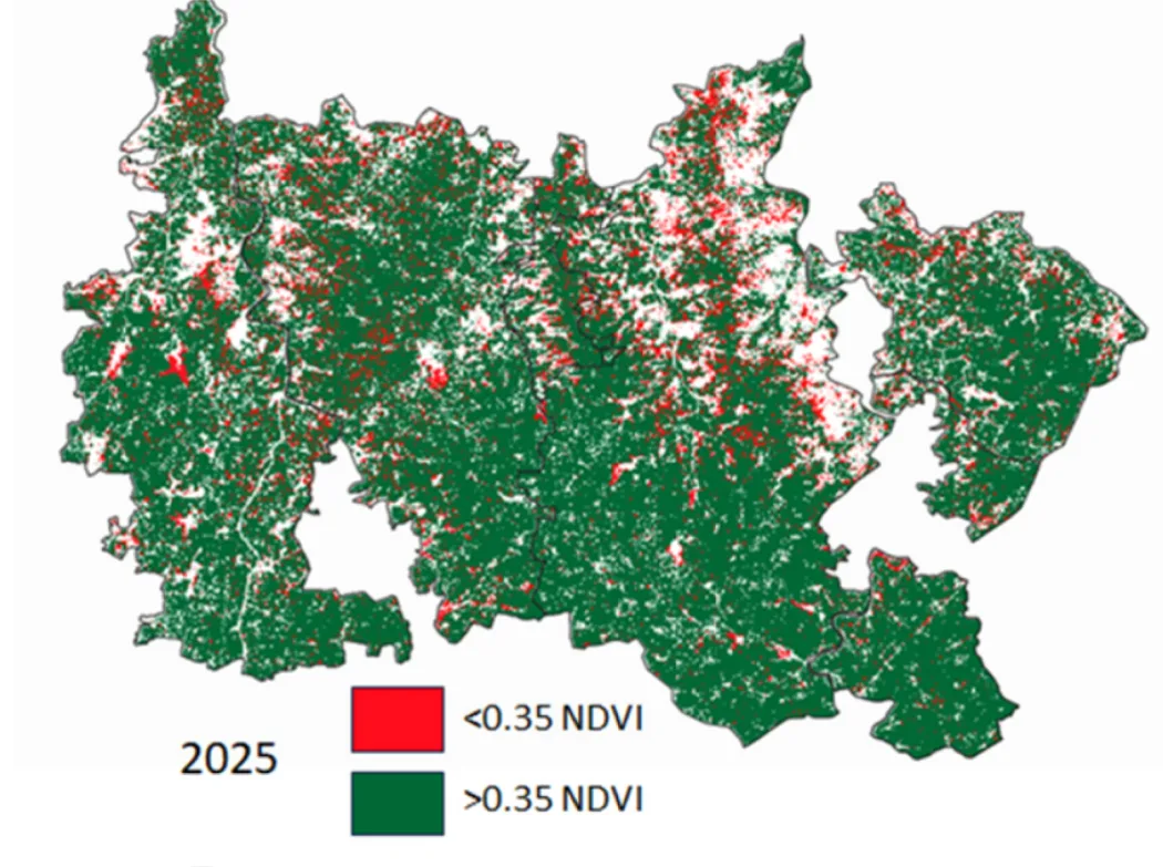 NDVI vegetation map of the command area in 2025