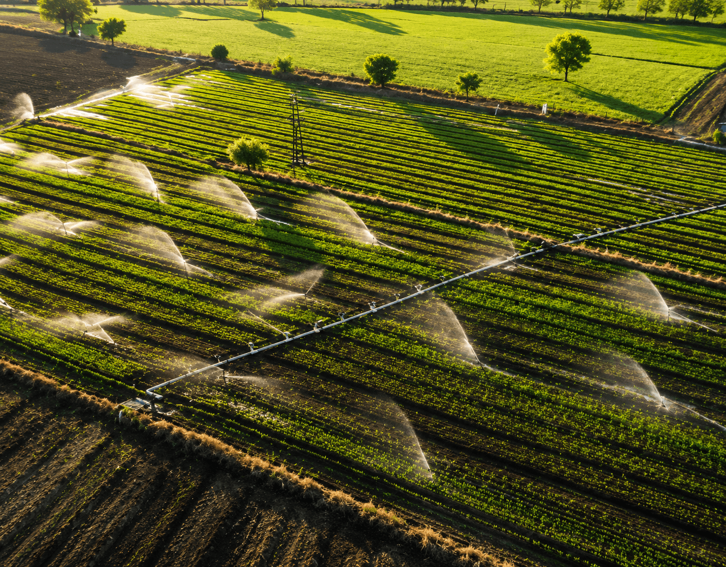 Sprinkler irrigation running across the fields at Dharola village